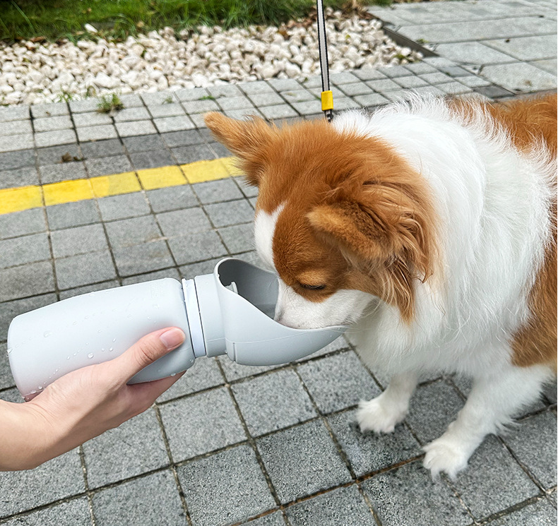 Foldable soft silicone dog outdoor water cup and water bottle 500ml