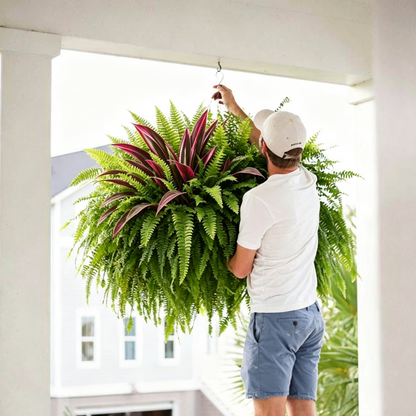 UV-Resistant Artificial Fern & Red Dracaena Decorative Plants – Full, Lush & Fade-Resistant!