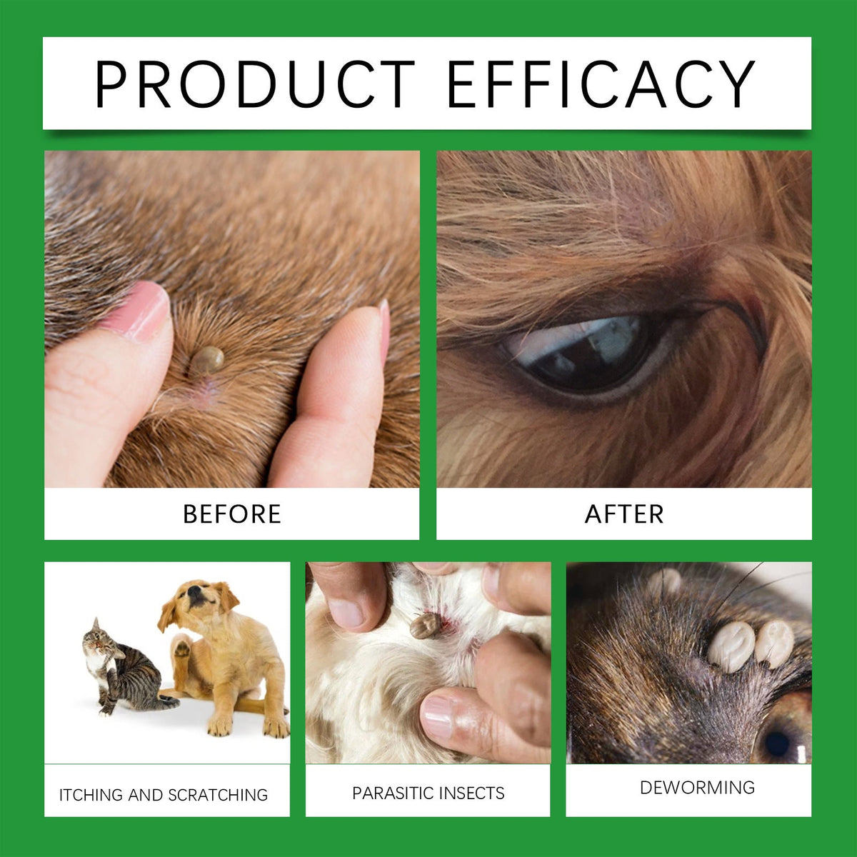 🍃Natural Flea & Tick Spray