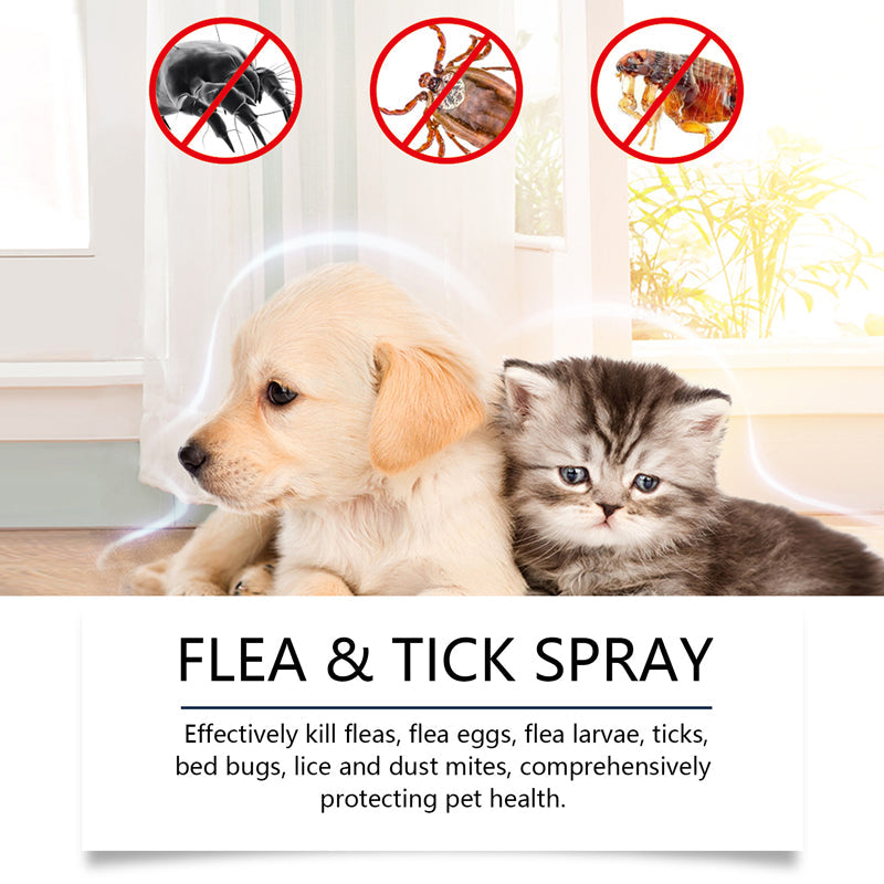 🍃Natural Flea & Tick Spray