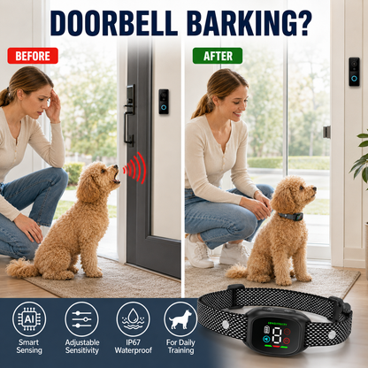 🛡️🐾 50% OFF! Smart No-Shock Anti-Bark Collar for Dogs-Gentle beep and vibration training for calmer days, quieter nights, and happier homes.