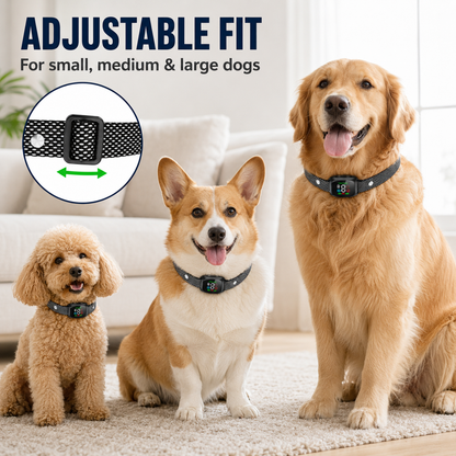 🛡️🐾 50% OFF! Smart No-Shock Anti-Bark Collar for Dogs-Gentle beep and vibration training for calmer days, quieter nights, and happier homes.