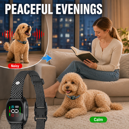 🛡️🐾 50% OFF! Smart No-Shock Anti-Bark Collar for Dogs-Gentle beep and vibration training for calmer days, quieter nights, and happier homes.